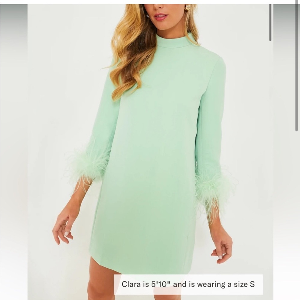 TUCKERNUCK DRESS with feathers